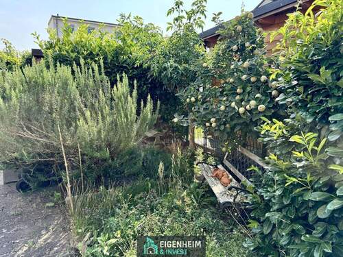 Garten - 