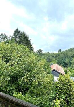 Ausblick in den Garten und Zum Nebengbäude - 