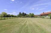 Weide - 