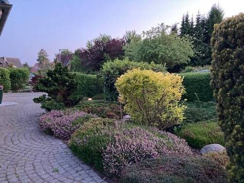 Garten vorne - 