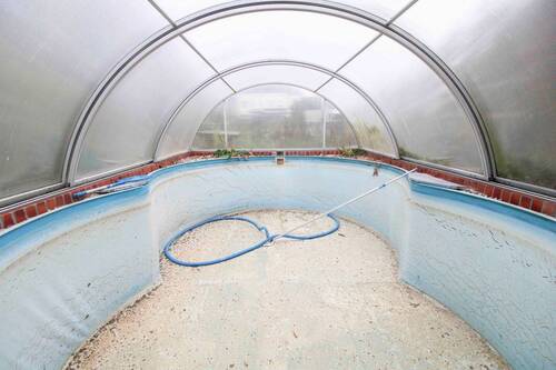 Pool - 