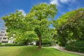 Innenhof - 
