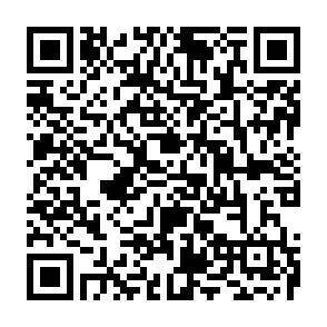 QR-Code - 