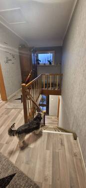 09_20250104_163710.jpg - 