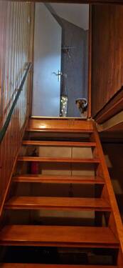 03_20250104_163139.jpg - 