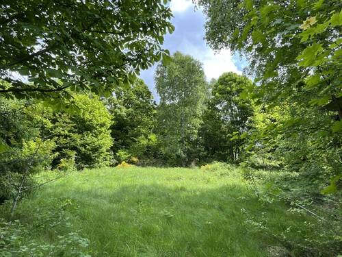 Nachbar im Osten - 