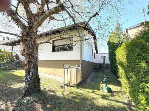 Die Ecke zum Blühen bringen... - 