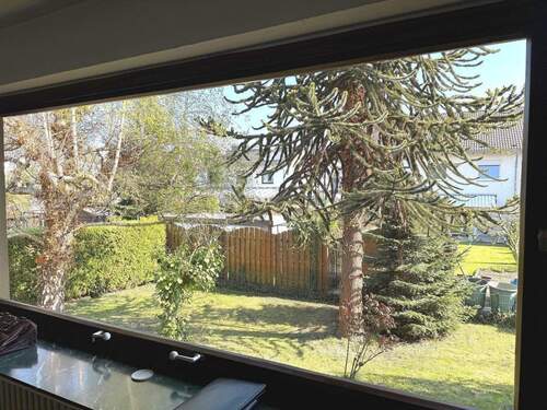 Blick in den Garten - 