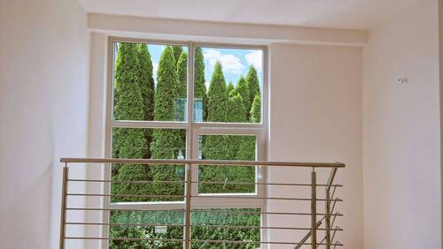 Ausblick ins Grüne - 