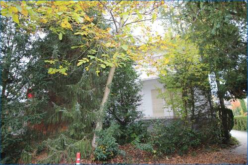 Blick hinten mit Weg - Etagenwohnung mit 81,00 m² in Konstanz / Staad zum Kaufen