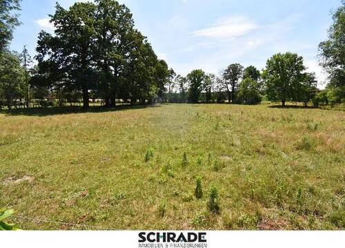 ...mit diesem Ausblick - Mehrfamilienhaus, Wohnhaus mit 180,00 m² in Stendal zum Kaufen