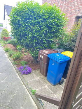 Zugang zum Garten seitlich - 