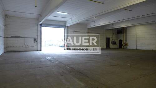 Halle Innenansicht - Halle zur Miete in Berlin