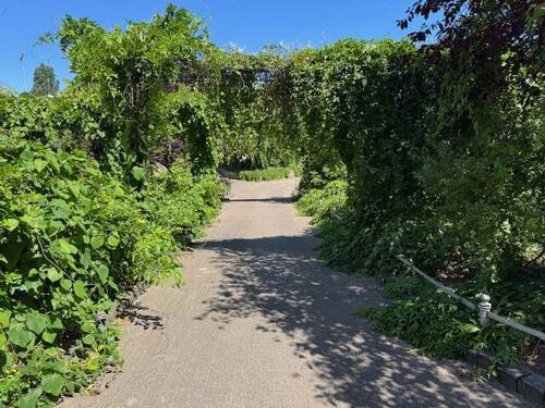 Bild 18 - 