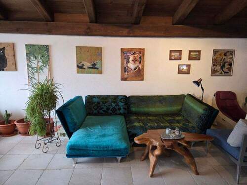 20251126_135006_resized_1.jpg - 