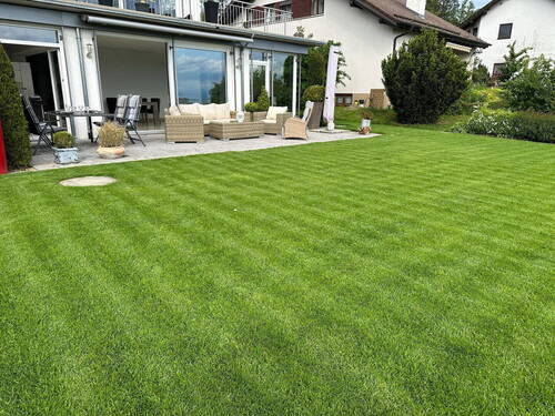 Blick vom Garten - 
