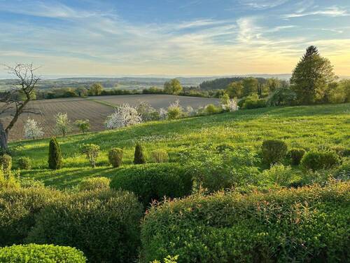 Blick nach Westen zum See - 
