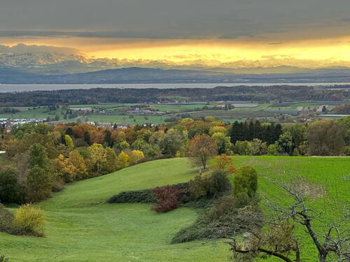 Abendstimmung - 