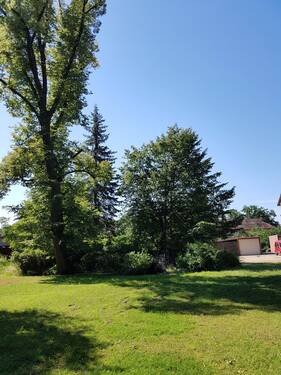 Garten - 