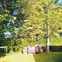 20250919_162434.jpg - 