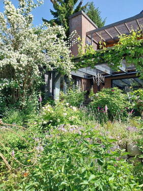 Blick vom Garten zur Terrasse - 