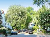 Blick in die Straße - Etagenwohnung mit 70,50 m² in Hamburg zum Kaufen