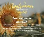 Spätsommer Angebot - City Wohnung zentral gelegen - Zum wohlfühlen im Domviertel!