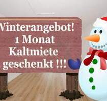 Winterangebot !!! Zur Kalten Jahreszeit eine Kaltmiete geschenkt !!! - Zwickau / Schedewitz
