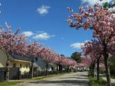 Umgebung - 