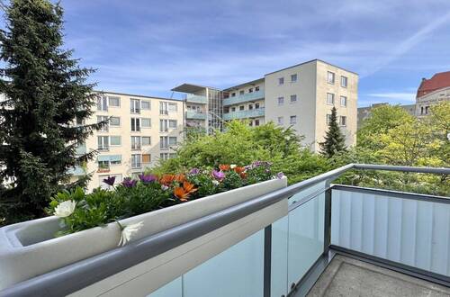 Blick vom Sonnenbalkon - 