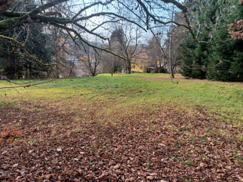 551bbe0a-99df-41ef-ad66-a95139fe40aa - Mehrfamilienhaus, Wohnhaus mit 300,00 m&sup2; in Freyung zum Kaufen