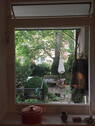 Blick aus dem Küchenfenster - 