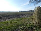 P1050933 - 