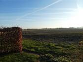 Ausblick aus dem Garten - 