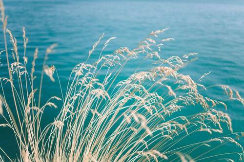 Bild 9 - 