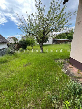 Bienengarten mit Obstbaum - 