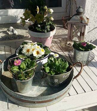 Der Frühling naht.jpg - Große und kleine Familien finden hier das ideale Haus