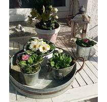 Große und kleine Familien finden hier das ideale Haus - Schwanstetten Schwand