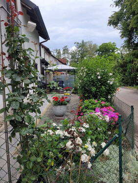 Bild 21 - 