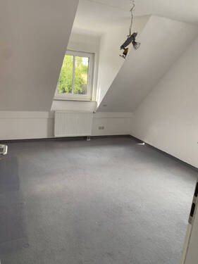 Bild8 - 