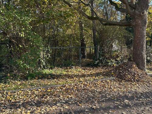 Das Grundstück.jpeg - Grundstück in Oranienburg zum Kaufen