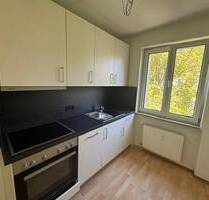 3 Zimmer mit kleinem Balkon in der Nähe des Luitpoldhains - Nürnberg Gleißhammer