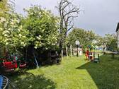 Gemeinschaftsgarten - 