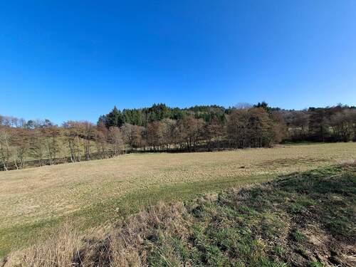 20260305_143742.jpg - 