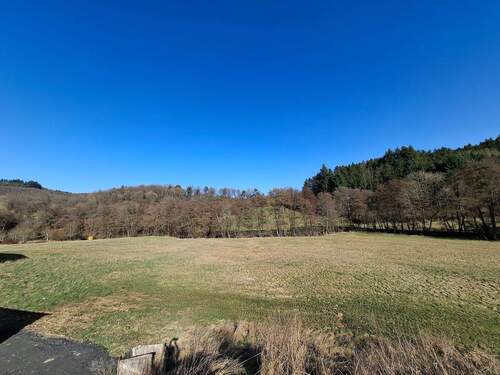 20260305_143757.jpg - 