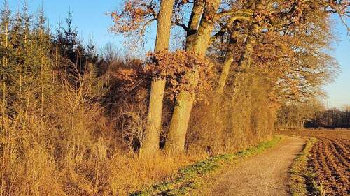 In Fußnähe (2 Minuten) - 