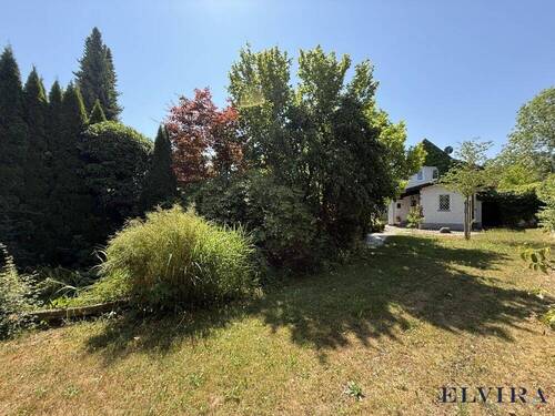 Bild 1 - ELVIRA - Grünwald - Grundstück mit Bestand (2x EFH mit WEG-Teilung)