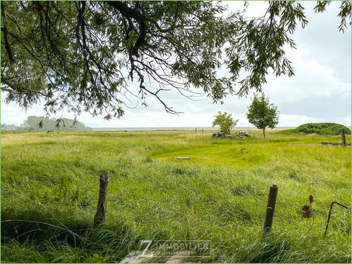 Blick zum Grünland - 