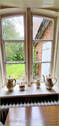 Blick in den Garten - 