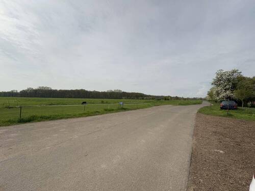 Ausblick - 